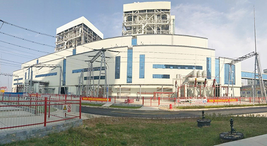 01 (1).jpg 01 (1).jpg