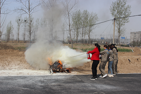 05 (1).jpg 05 (1).jpg