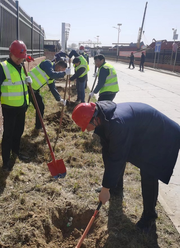 4、植树活动现场,大家分工明确,配合默契.jpg 4、植树活动现场,大家分工明确,配合默契.jpg